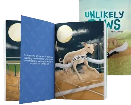 Ingrams Sparks Publisher