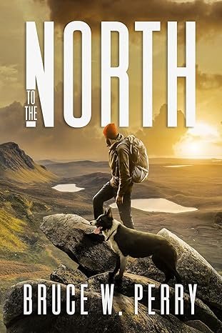 Ingrams Sparks Publisher